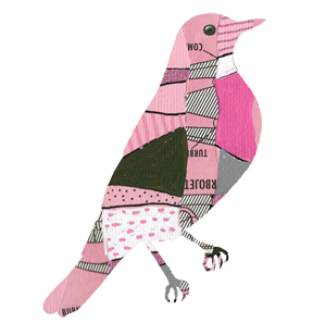 A pink bird